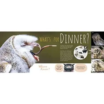 Whooo Knew? Discover the Truth About Owls Today!