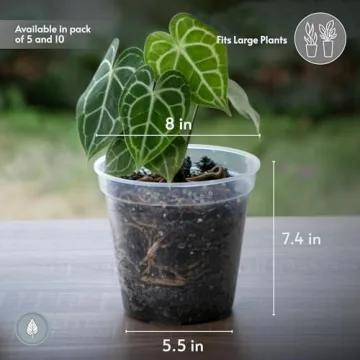 karenplantsplants™ 8" Clear Plastic Nursery Pot (Clear - 5 Pack)