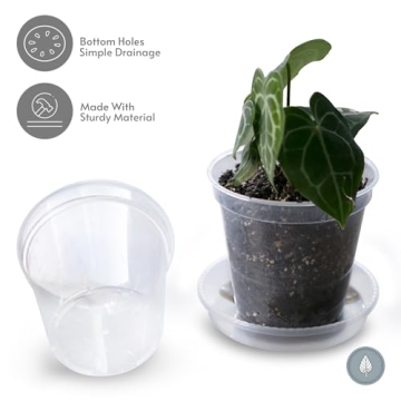 karenplantsplants™ 8" Clear Plastic Nursery Pot (Clear - 5 Pack)