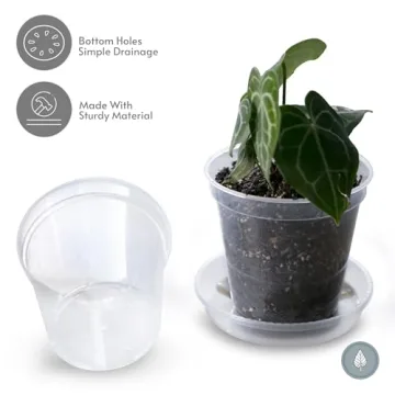 karenplantsplants™ 8" Clear Plastic Nursery Pot (Clear - 5 Pack)