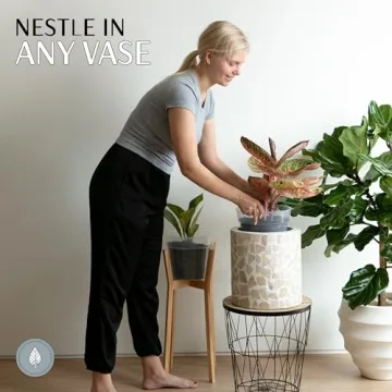 karenplantsplants™ 8" Clear Plastic Nursery Pot (Clear - 5 Pack)