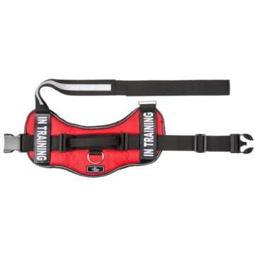 Versatile Service Dog Harness with Custom Bags and Patches