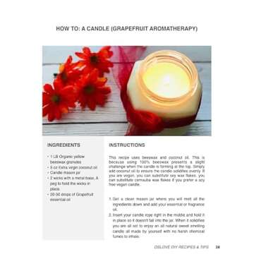 Organic Beeswax 1 LB - Pure DIY Pellets for Candle Making