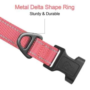 Adjustable Reflective Dog Collar for Small Dogs