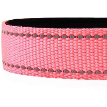 Adjustable Reflective Dog Collar for Small Dogs