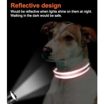 Adjustable Reflective Dog Collar for Small Dogs