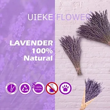 Uieke Natural Dried Lavender Bundles for Home Decoration