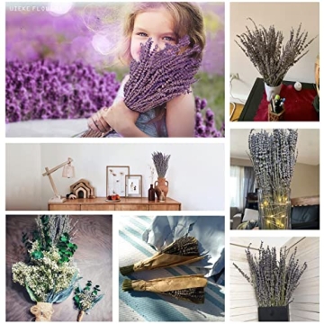 Uieke Natural Dried Lavender Bundles for Home Decoration