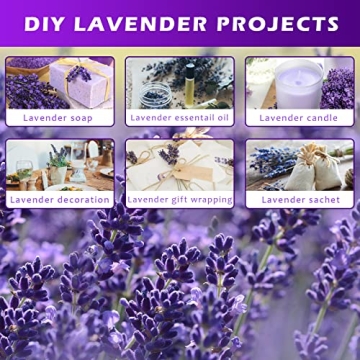 Uieke Natural Dried Lavender Bundles for Home Decoration