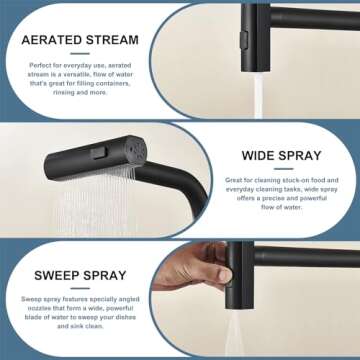 Matte Black Single Hole Kitchen Sink Faucet with Pull-Down Sprayer, Stainless Steel Tap for Effortle...