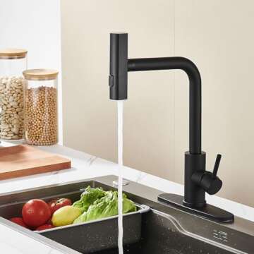 Matte Black Kitchen Sink Faucet with Pull Down Sprayer