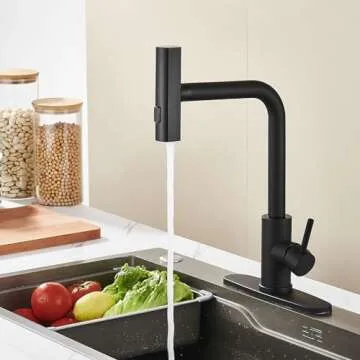 Matte Black Kitchen Sink Faucet with Pull Down Sprayer