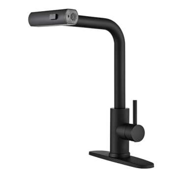 Matte Black Kitchen Sink Faucet with Pull Down Sprayer