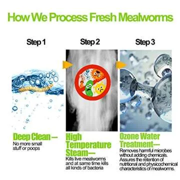 Fresh Mealworms 8.4 oz (1600 Count Total, 12 Bags) Superior to Live Mealworms - Premium Food for Leo...