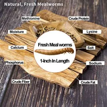 Fresh Mealworms 8.4 oz Premium Food for Pets