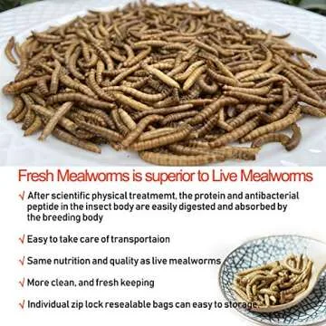 Fresh Mealworms 8.4 oz Premium Food for Pets