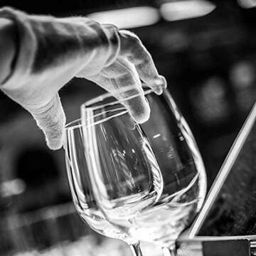 Elegant Bella Vino Italian Red Wine Glasses Set of 2