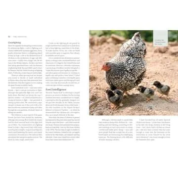 Storey's Guide to Raising Chickens, 4th Edition: Breed Selection, Facilities, Feeding, Health Care, Managing Layers & Meat Birds