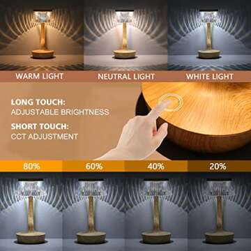 TitiGeeli LED Cordless Table Lamp with Touch Sensor, Rechargeable 2000mAh Battery Powered Dimmable Portable Light, Acrylic Night Stand Lighting for Bedroom Kids Nursery Living Room