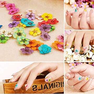 Dried Flowers for Nail Art CHANGAR Mini Real Natural Dry Flowers Sticker Decals Small Tiny Dried Flowers Five Petal Flower Resin Nail Art Supplies Decoration