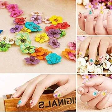 Dried Flowers for Nail Art CHANGAR Mini Real Natural Dry Flowers Sticker Decals Small Tiny Dried Flowers Five Petal Flower Resin Nail Art Supplies Decoration