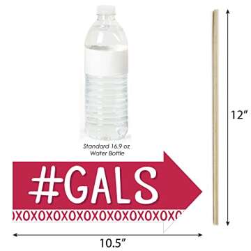 Big Dot of Happiness Funny Happy Galentine’s Day - Valentine’s Day Party Photo Booth Props Kit - 10 Piece