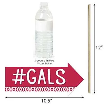 Big Dot of Happiness Funny Happy Galentine’s Day - Valentine’s Day Party Photo Booth Props Kit - 10 Piece