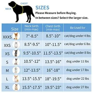 AIITLE Small Harness for Puppy with A Leash - Spring Dog Vest Harness with Super Breathable Mesh, Reflective No-Pull Pet Harness for Outdoor Walking, Camping for Small Dogs, Cats Blue XXS