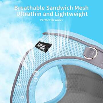 AIITLE Small Harness for Puppy with A Leash - Spring Dog Vest Harness with Super Breathable Mesh, Reflective No-Pull Pet Harness for Outdoor Walking, Camping for Small Dogs, Cats Blue XXS