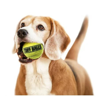 PetSport Durable Yellow Tennis Balls for Small Dogs | 6 Pack