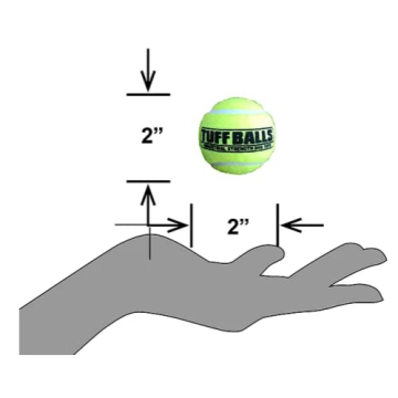 PetSport Durable Yellow Tennis Balls for Small Dogs | 6 Pack