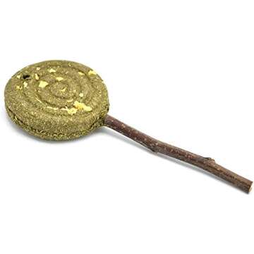 Oxbow Lollipop Chew Treats for Small Animals - Apple Carrot