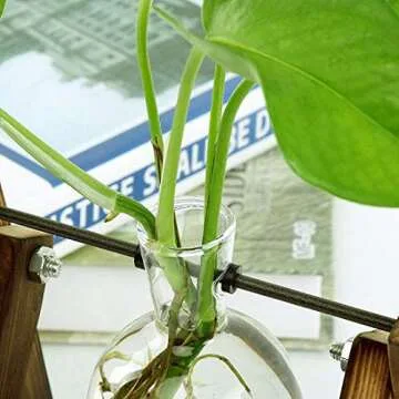 VanEnjoy Modern Hydroponics Glass Planters Bulb Vase,Retro Solid Wooden and Stand Metal Swivel Holder Desktop Office Home Wedding