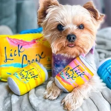 LickCroix Grrriety Pack Plush Dog Toy for All Breeds
