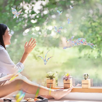 Anti-Collision Bird Decals Enhance Safety & Decor