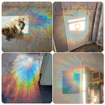 Anti-Collision Bird Decals Enhance Safety & Decor