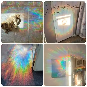 Anti-Collision Bird Decals Enhance Safety & Decor