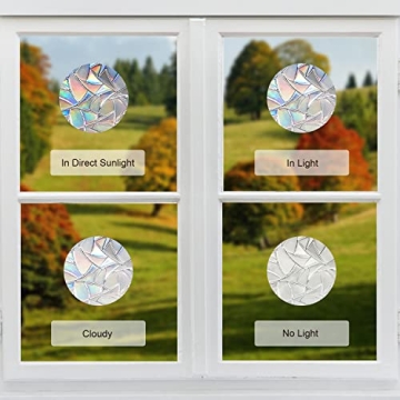 Anti-Collision Bird Decals Enhance Safety & Decor