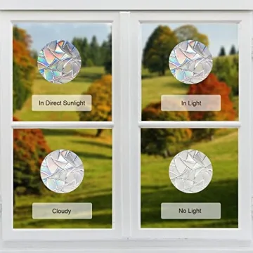 Anti-Collision Bird Decals Enhance Safety & Decor