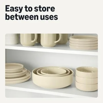 Amazon Basics Glazed Stoneware Dinner Plates Set