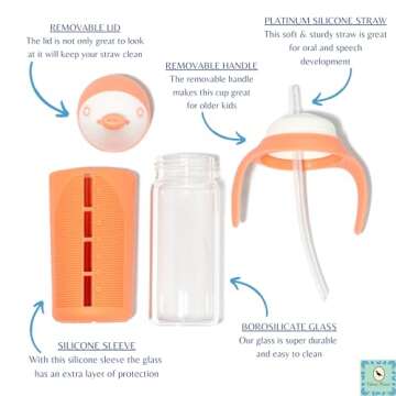 Set of 2 Glass Toddler Sippy Cups | Spill-Proof & Stylish