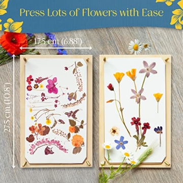 Berstuk Flower Press with Video Tutorials for All Crafters