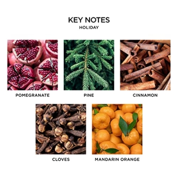 NEST Fragrances Holiday Hand Soap 10 Ounce Luxury