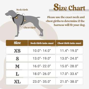 rabbitgoo Dog Harness No Pull with 2 Leash Clips, Adjustable Soft Padded, Reflective Oxford No Choke...