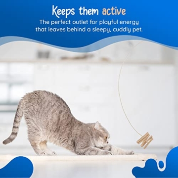 Cat Dancer Interactive Cat Toy for Active Cats