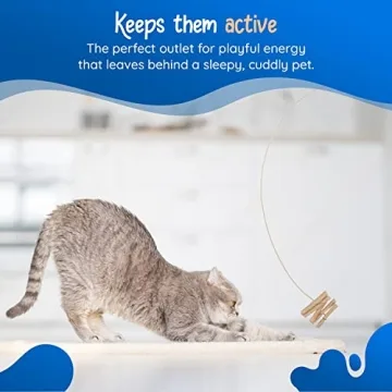 Cat Dancer Interactive Cat Toy for Active Cats