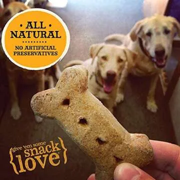 Delicious Old Mother Hubbard Mini Biscuits for Dogs
