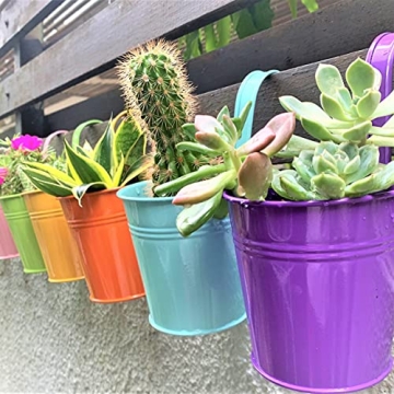 LaLaGreen Hanging Planters Outdoor -10 Pack, 6 Inch Colorful Large Metal Flower Pot, Balcony Planter...