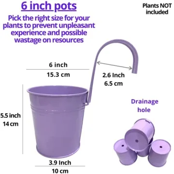 LaLaGreen Hanging Planters Outdoor -10 Pack, 6 Inch Colorful Large Metal Flower Pot, Balcony Planters Railing Hanging Herb Garden Iron Hanging Plant Buckets for Fence Rail Deck Porch Outside Wall
