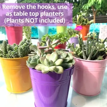 LaLaGreen Hanging Planters Outdoor -10 Pack, 6 Inch Colorful Large Metal Flower Pot, Balcony Planters Railing Hanging Herb Garden Iron Hanging Plant Buckets for Fence Rail Deck Porch Outside Wall